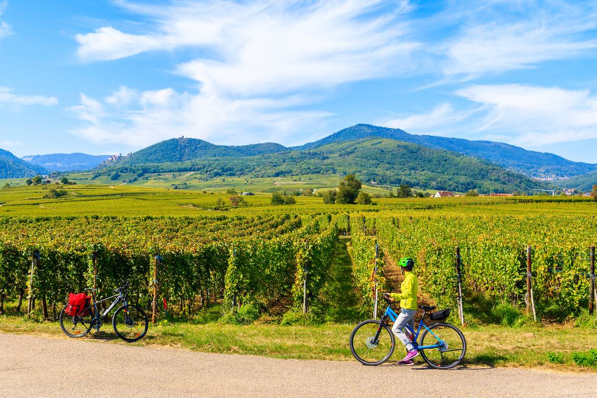Burgundy's Vineyards by Bike with Wine Tastings
