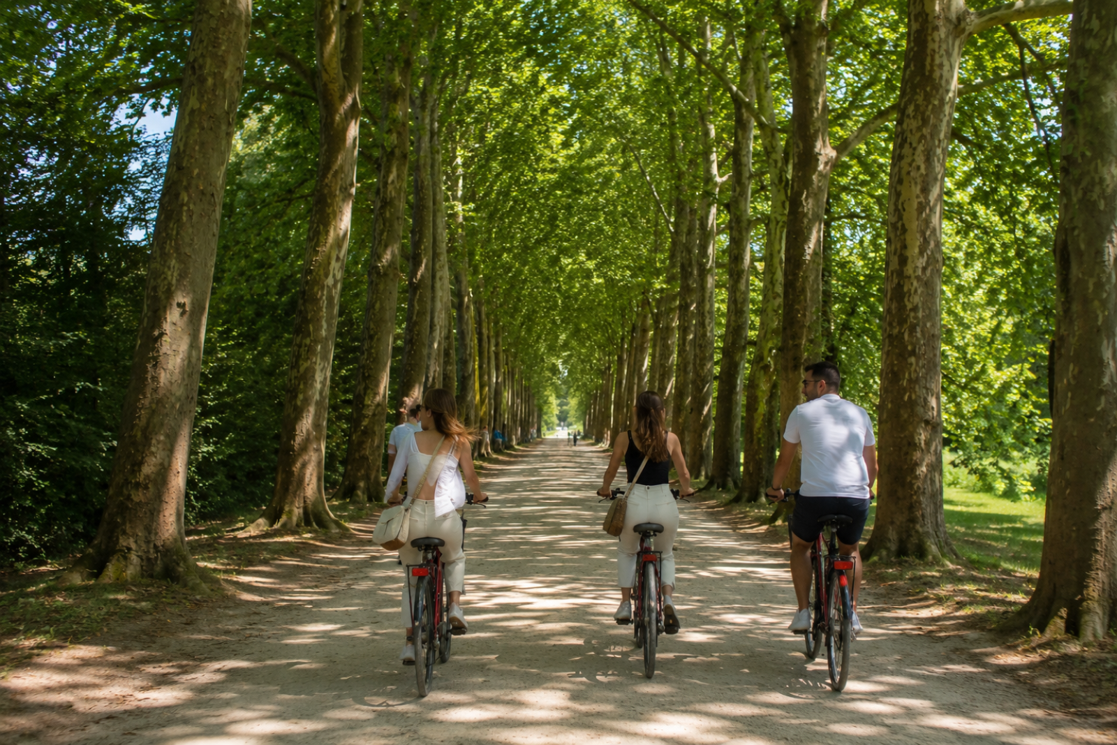 Versailles Private Bike Tour