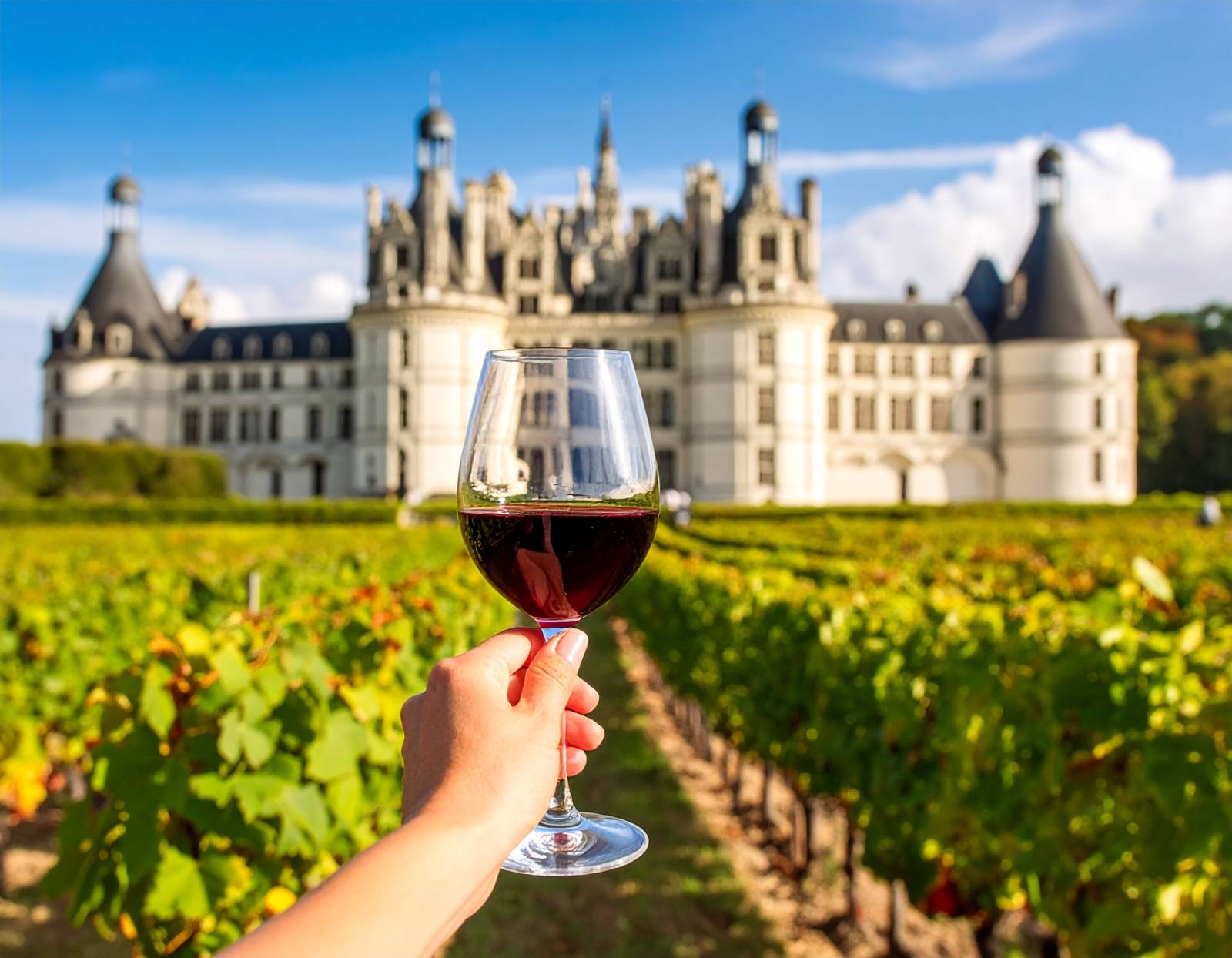 Full Day Private Castles Tour In The Loire Valley With Wine Tasting