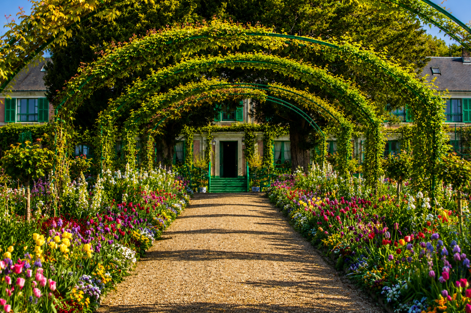 Monet’s House & Gardens in Giverny Private Tour From Paris