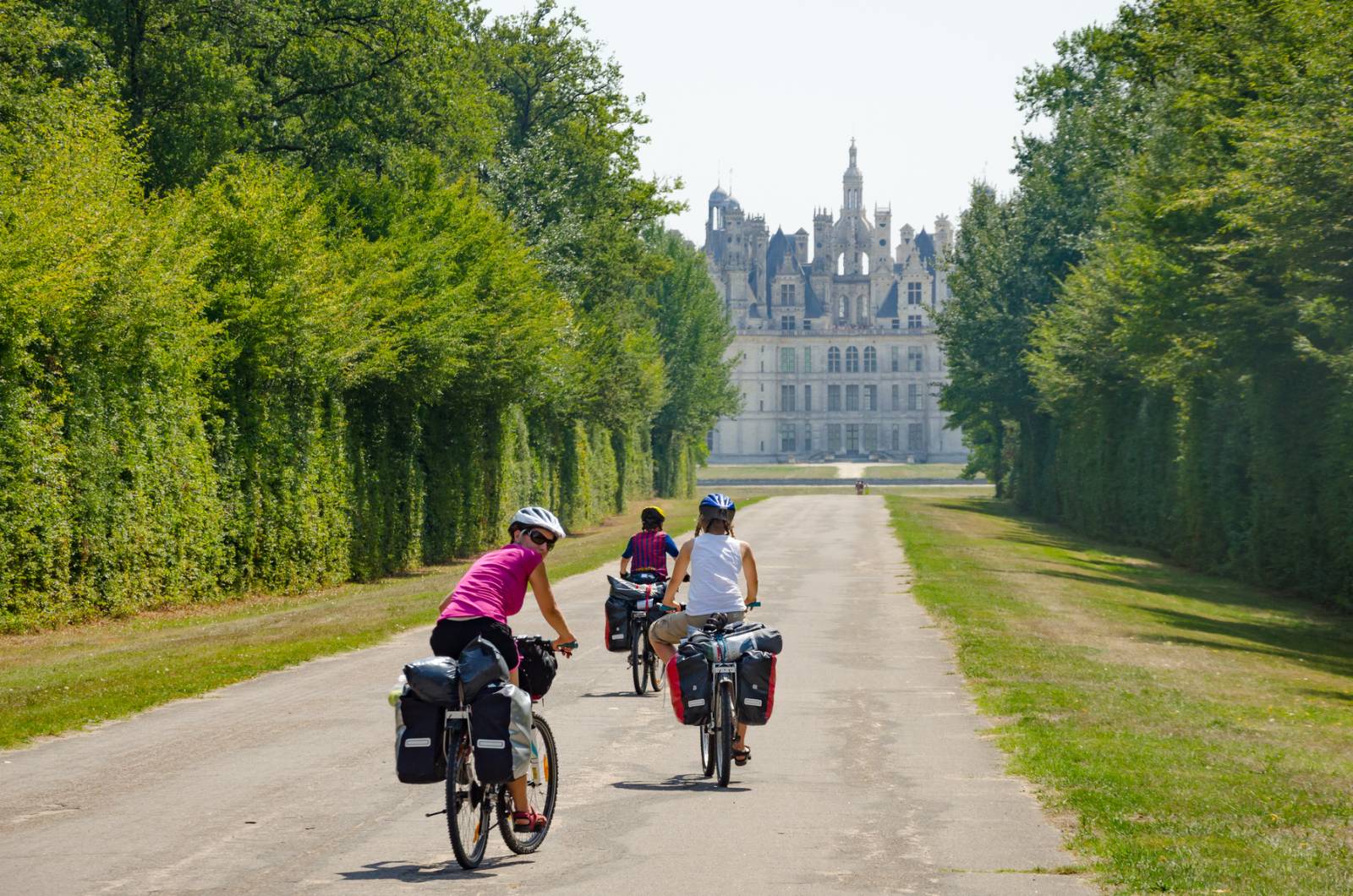 Full Day Loire Valley Biking Experience