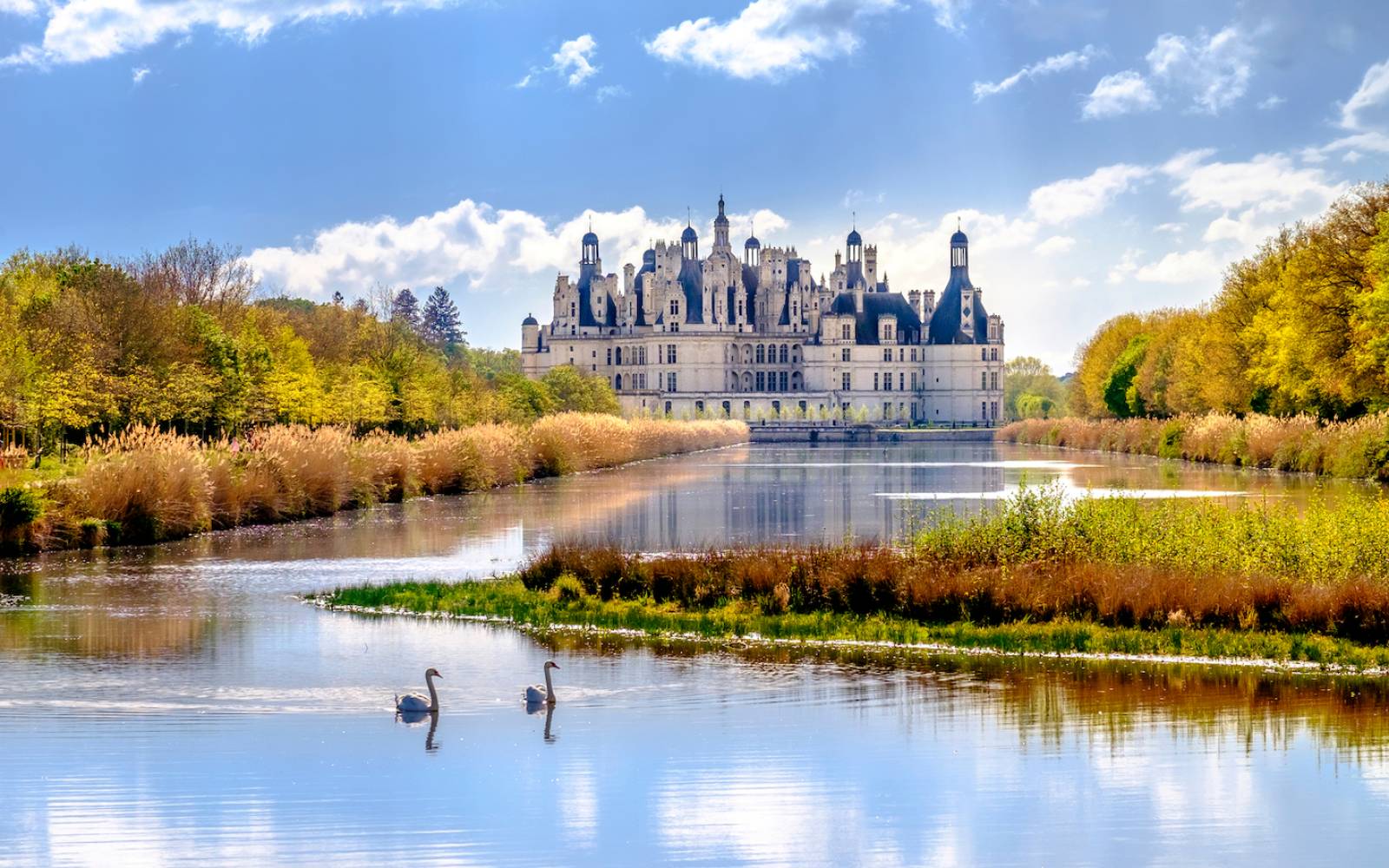 Chambord castle surrounded by nature 