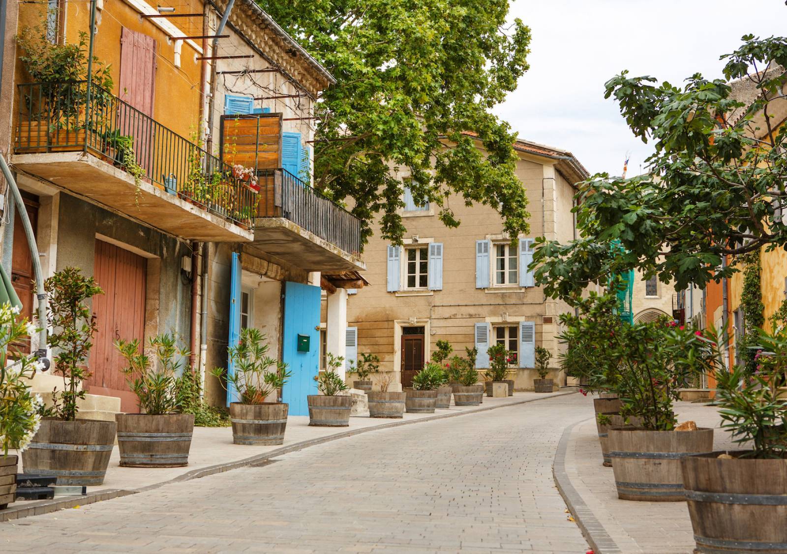 Saint Rémy de Provence Private Guided Walking Tour