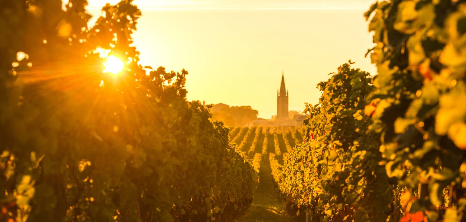 Saint Emilion Full Day Private Wine Tour