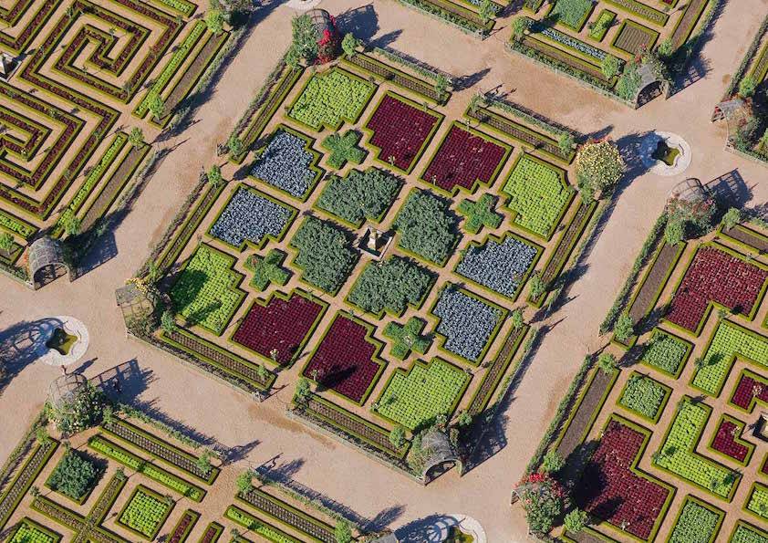 Full Day Private Gardens Tour In The Loire Valley