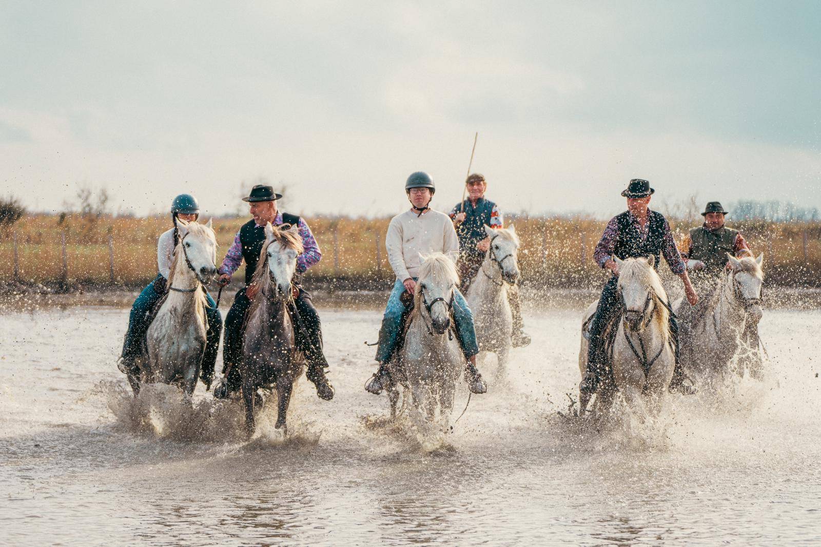 Camargue Experience Full Day Private Tour