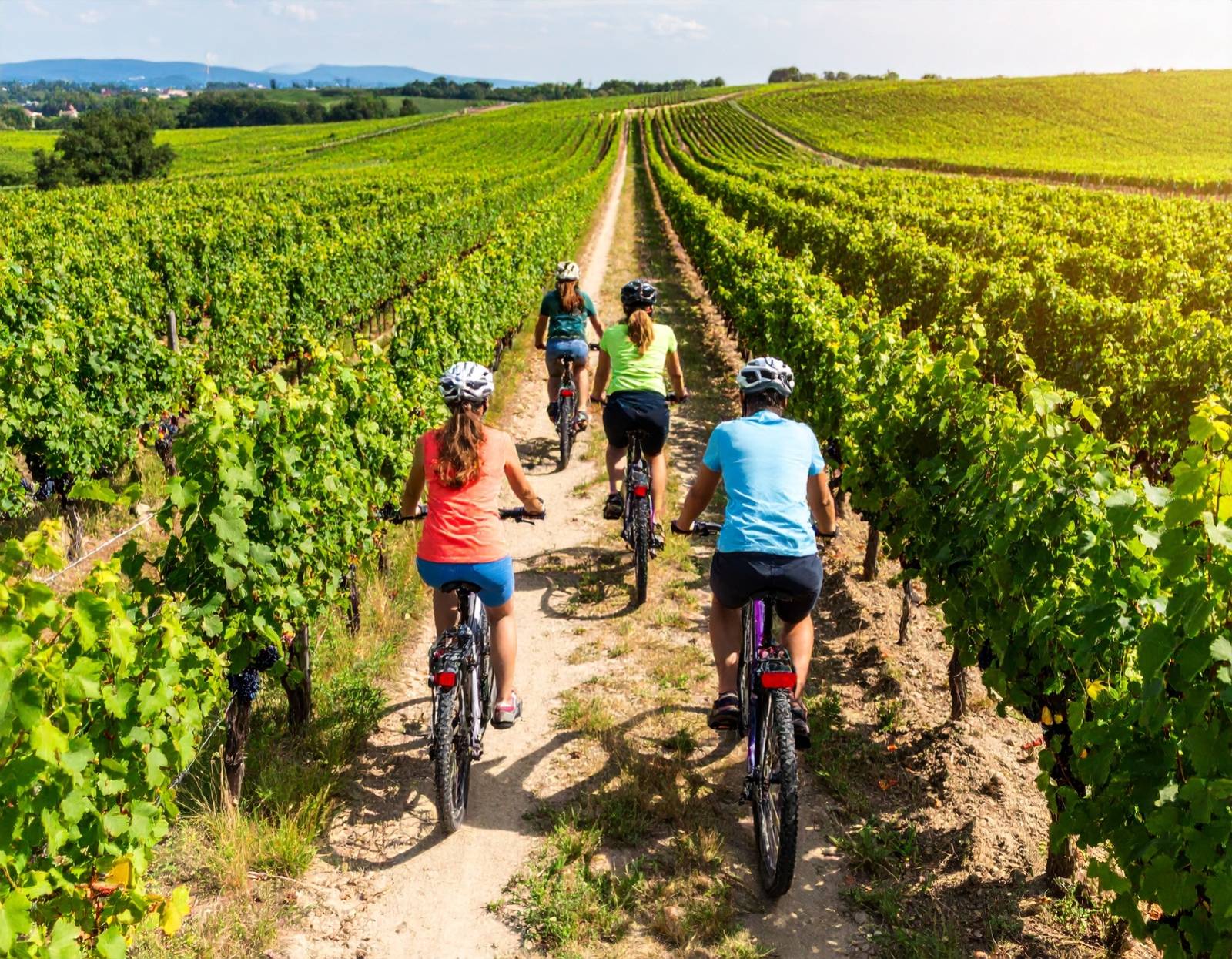 Private Guided Bike Tour Through the Champagne Vineyards