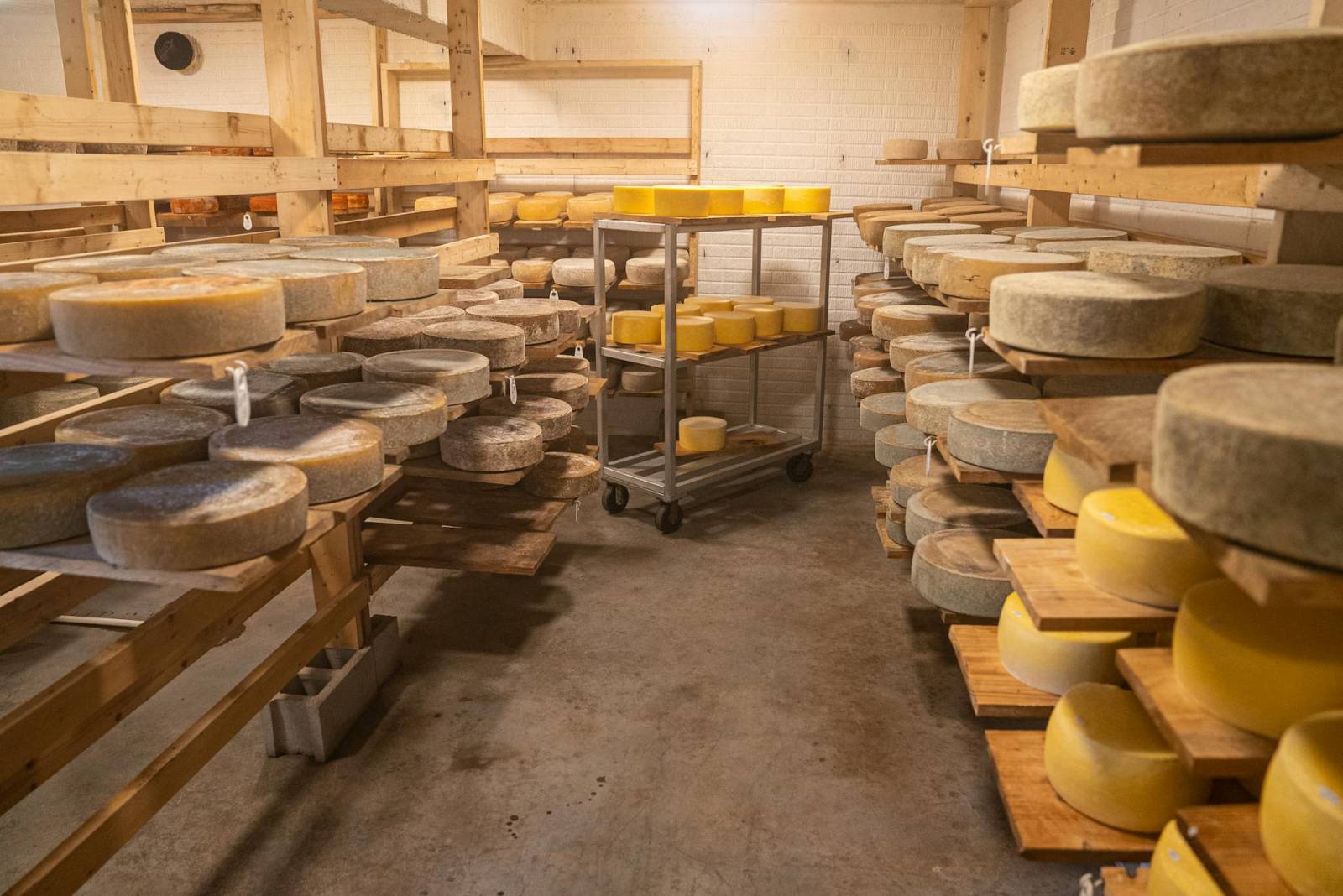 Cheese & Butter Workshop