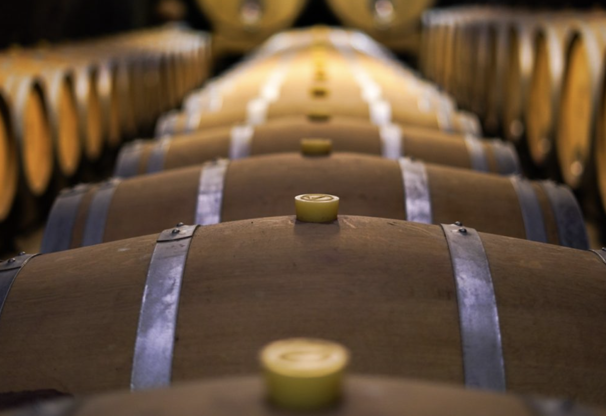 Plou & Fils Wine Domain