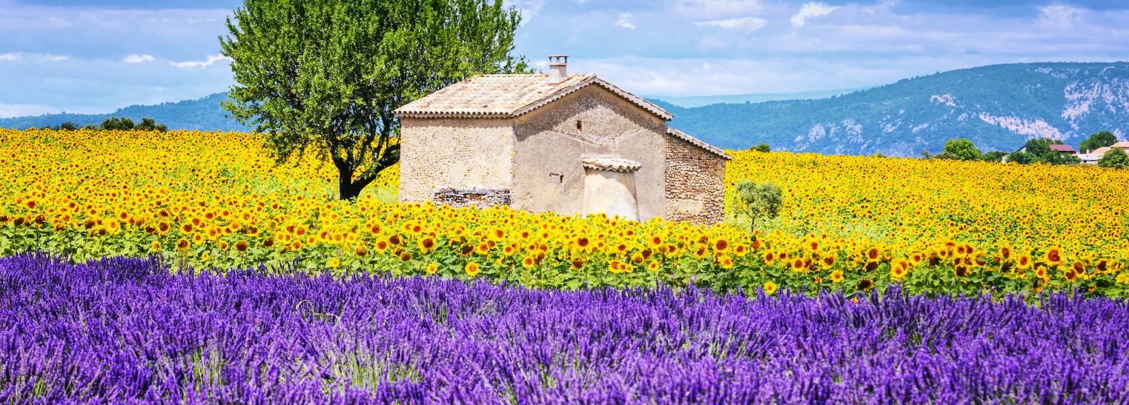 Provence Tour from Saint Tropez