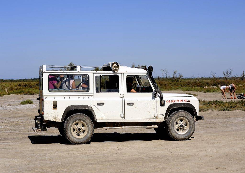 From Avignon:  Safari in Camargue in a 4×4