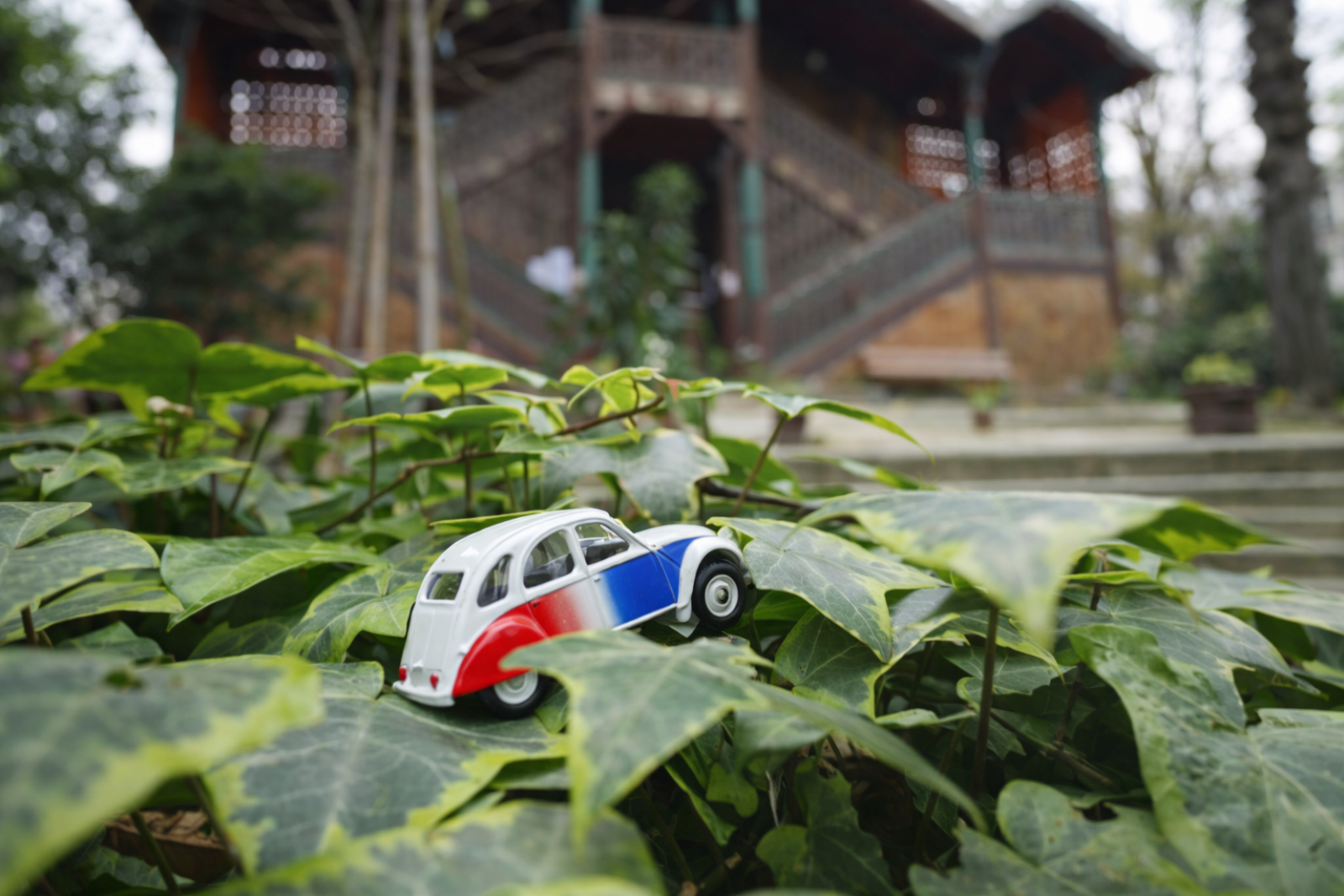 Explore Paris in a 2CV