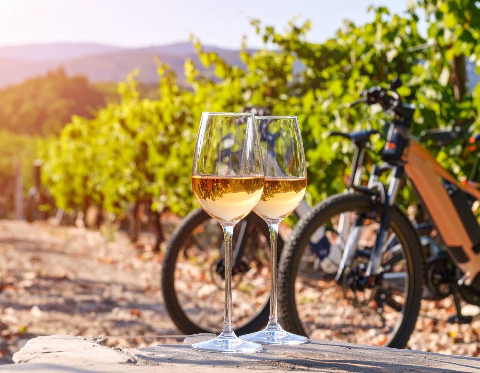 Saint Tropez Private Bike Tour & Wine Tasting