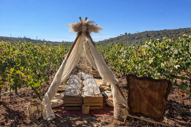 Exclusive Picnic Experience