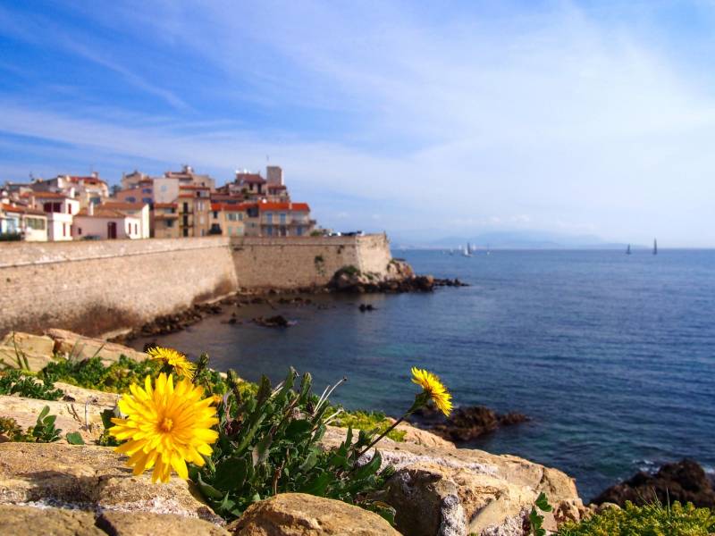 Antibes Private Guided Walking Tour
