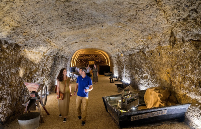 Loire Valley Private Sightseeing Tour with Wine Tasting