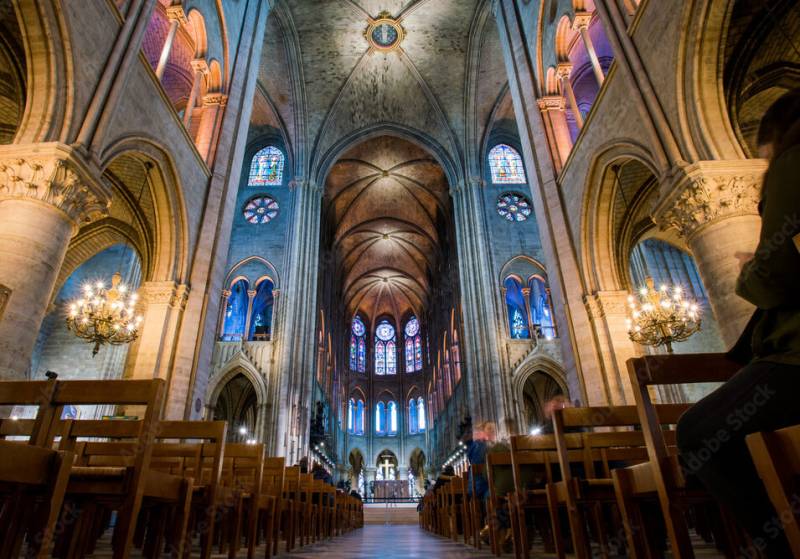 Ile De La Cité & Notre Dame Private Guided Walking Tour