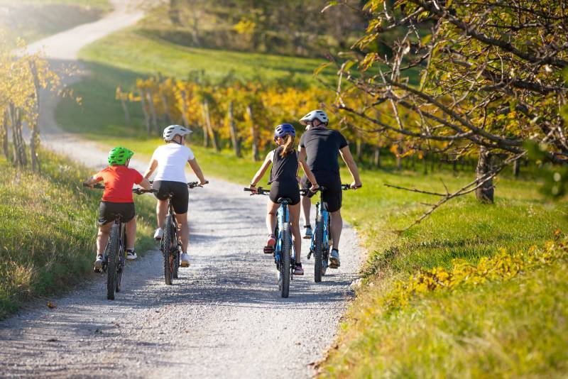Private Guided Bike Tour Through the Champagne Vineyards