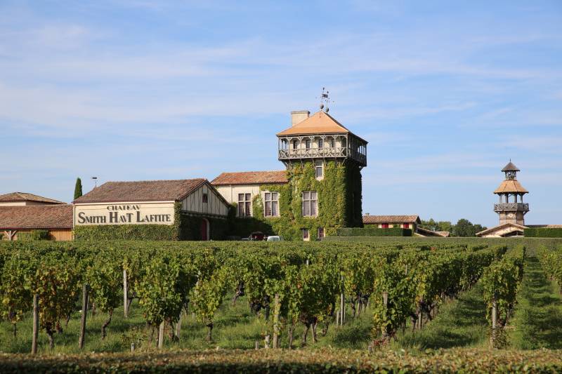 Sauternes & Pessac-Leognan Full Day Private Wine Tour