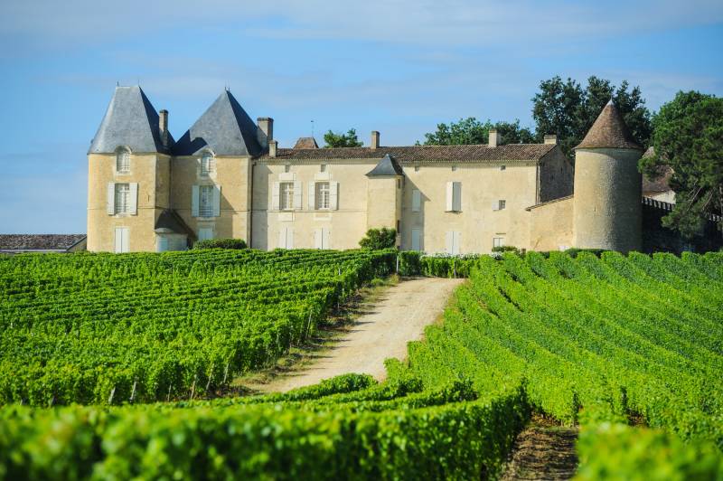 Sauternes & Pessac-Leognan Full Day Private Wine Tour