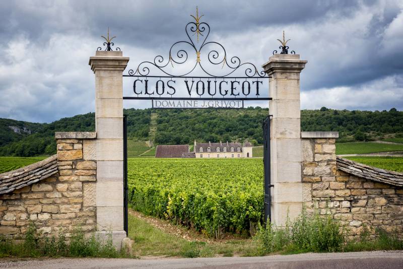 From Lyon: Burgundy Wine Tour