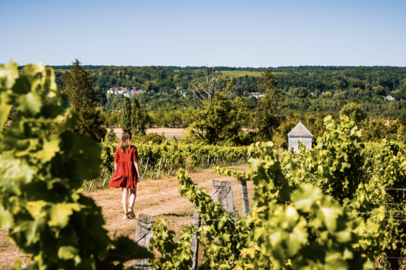 Clos Roussely Wine Domain