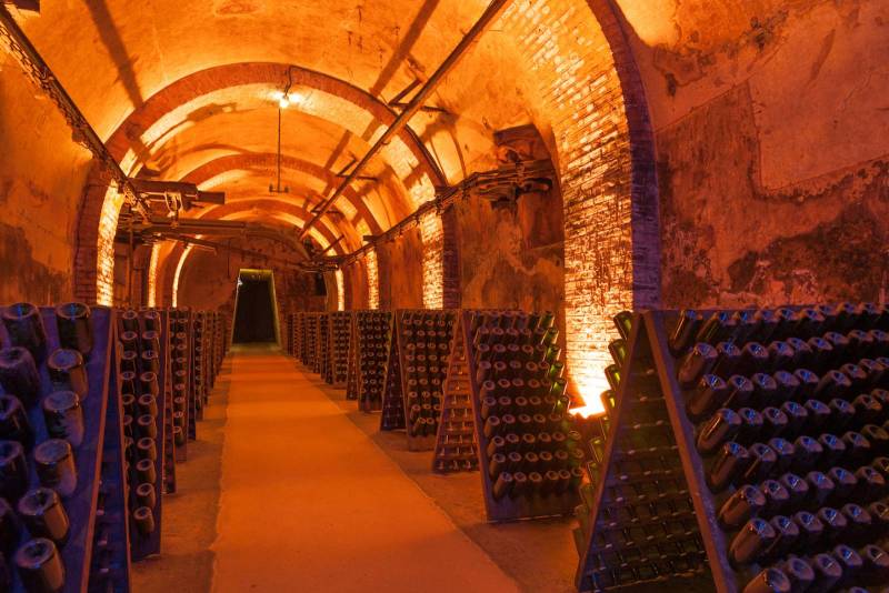 Champagne Private Sightseeing Tour with Tastings