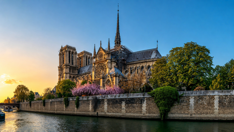 Notre Dame Guided Tour