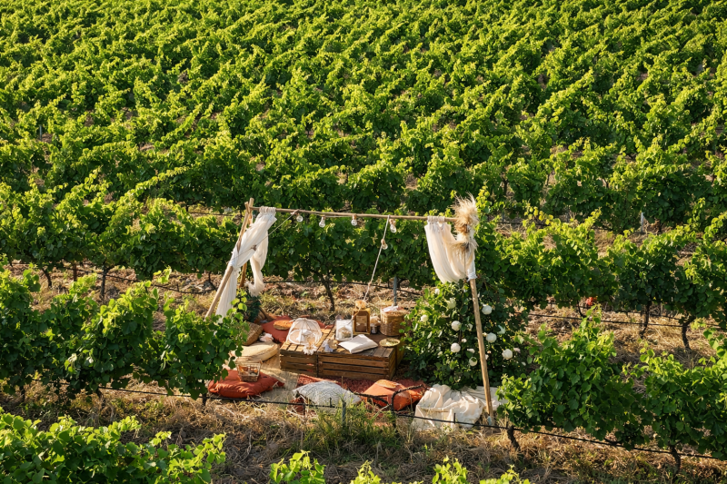 Exclusive Picnic Experience