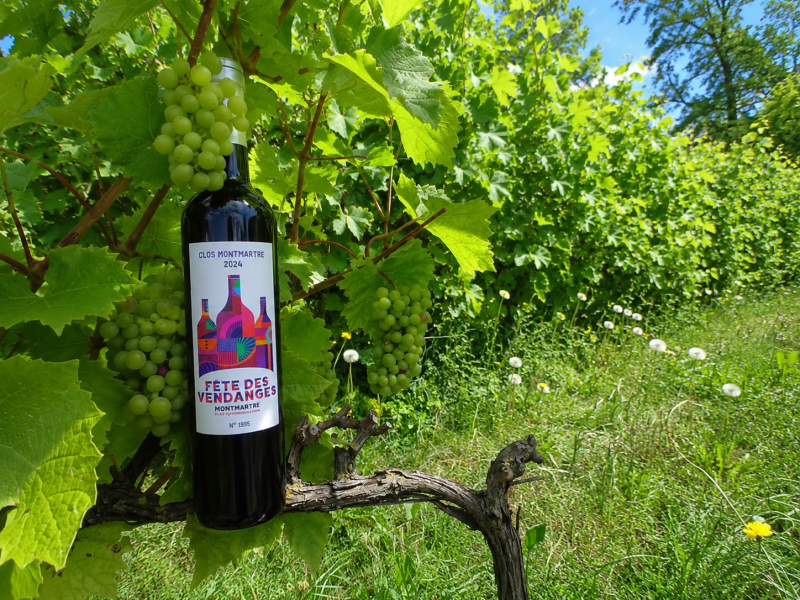 Montmartre Hidden Vineyard Private Tour