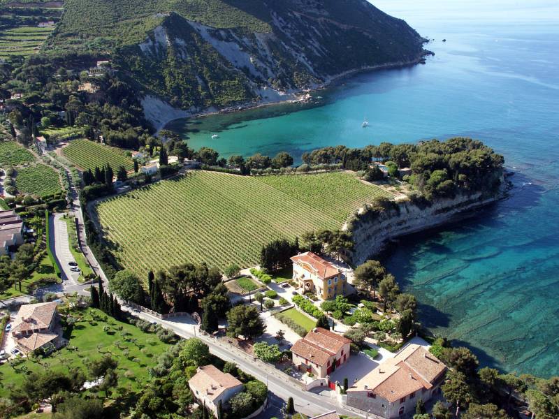 Cassis and Bandol Full Day Private Wine Tour