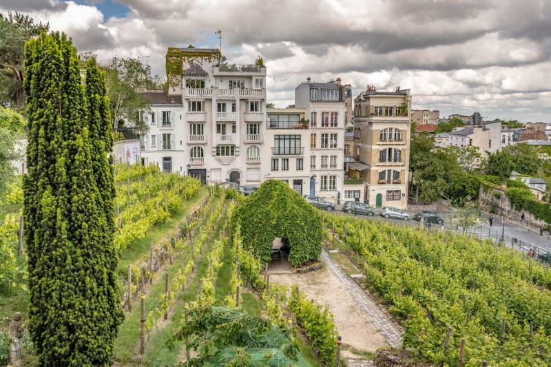 Montmartre Hidden Vineyard Exclusive Experience
