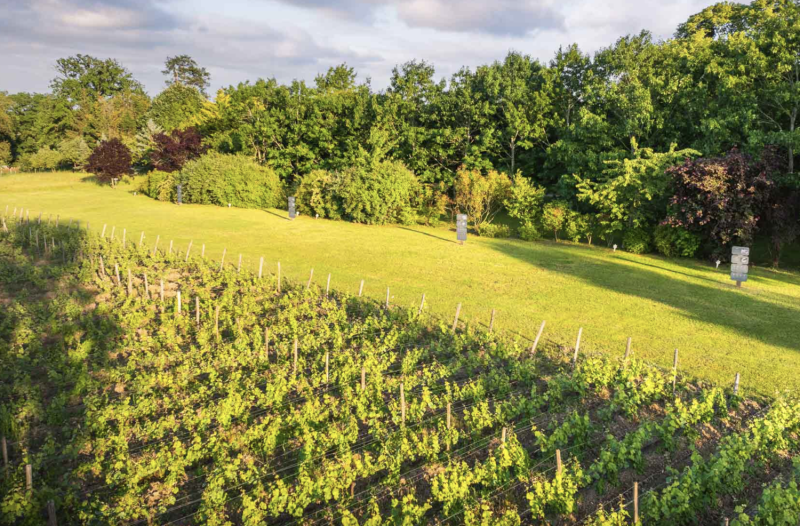 Clos de la Richardière Wine Estate