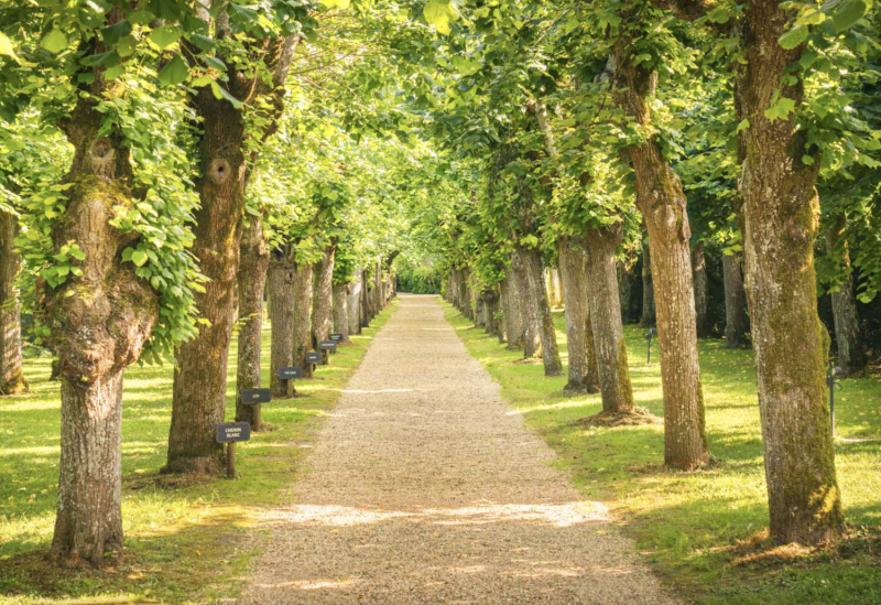 Clos de la Richardière Wine Estate
