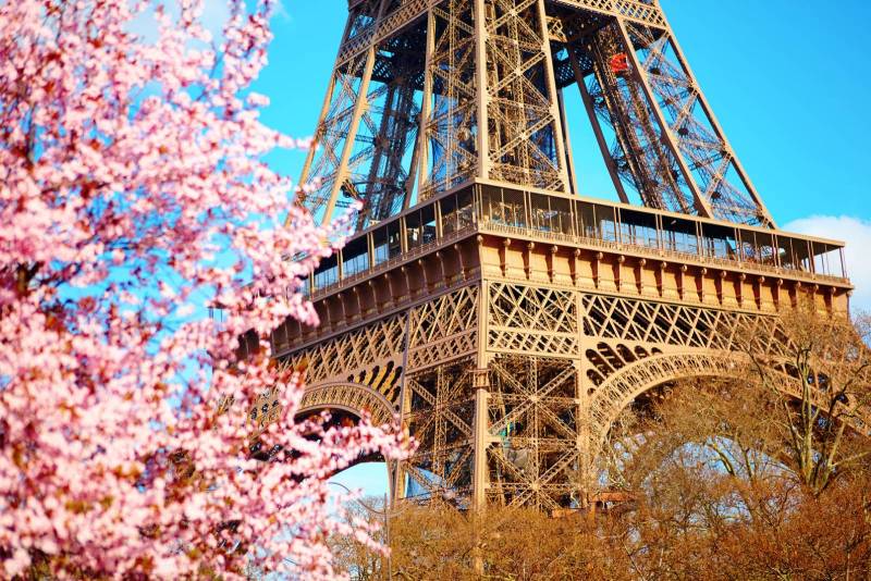 Eiffel Tower with blooming flowers in springtime