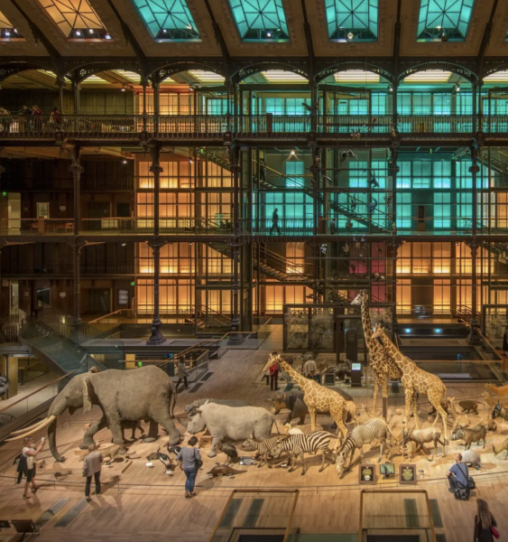 Other Family & Kids Experiences and Tickets in Paris