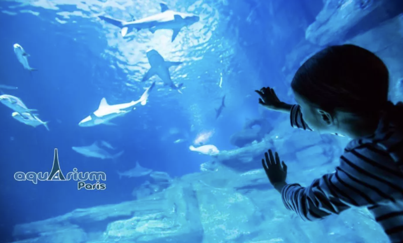 Other Family & Kids Experiences and Tickets in Paris