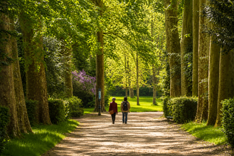 Fontainebleau Castle & Gardens Private Tour from Paris