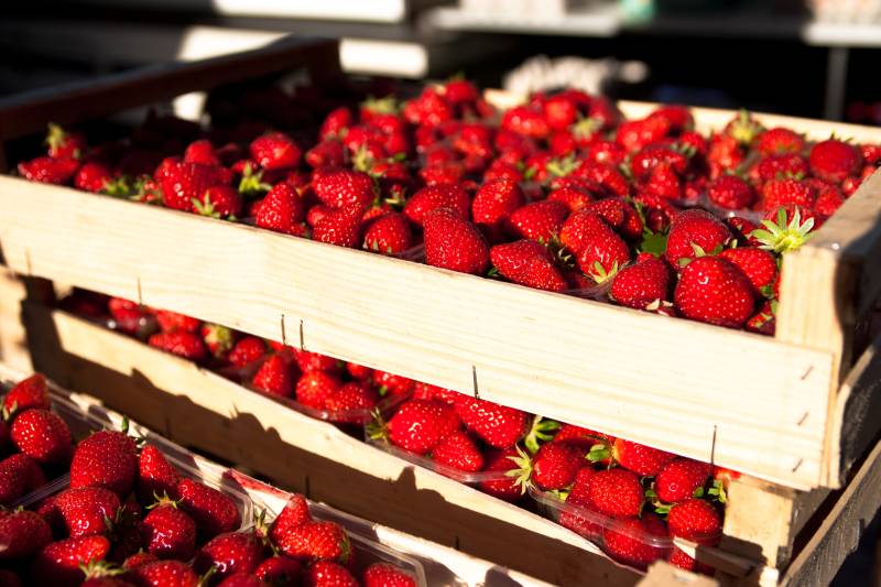 Provencal Market Visit & Cooking Class