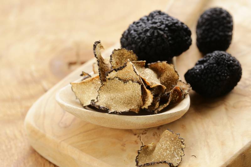 Truffle Hunting Experience