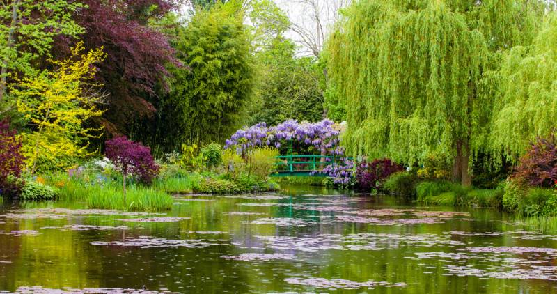 Lily pond at Monet's garden in Giverny