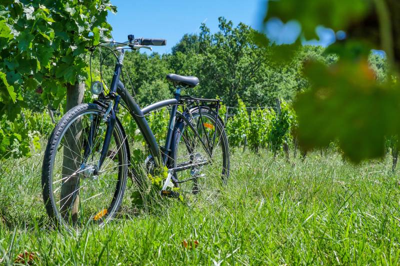 Luberon Biking Experience