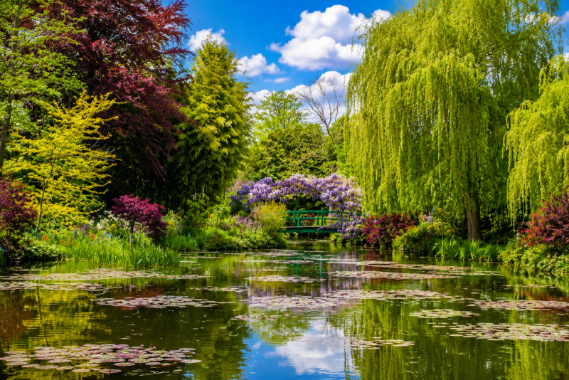 Giverny Monet's House and Gardens Full Day Private Tour from Paris
