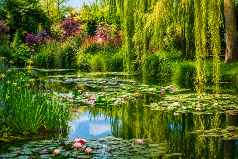 Giverny Monet's House and Gardens Full Day Private Tour from Paris