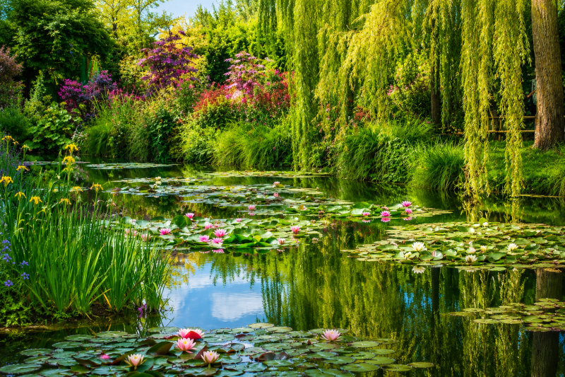 Monet’s House & Gardens in Giverny Private Tour From Paris