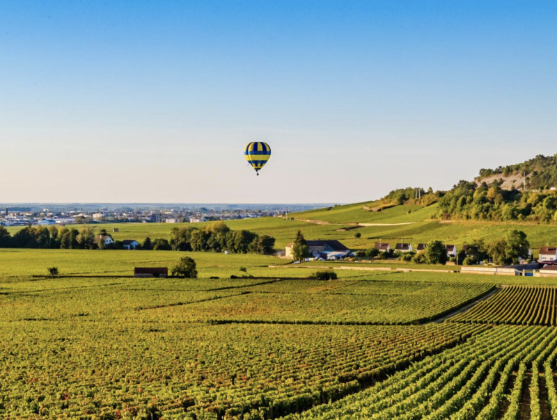 Hot Air Balloon Experience in Beaune's Vineyards