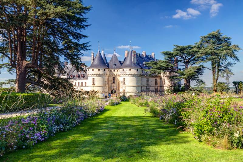 Full Day Private Wine Tour In The Loire Valley With Castle Visit