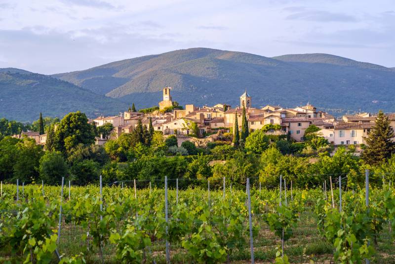 Lourmarin vie of the village and vineyards
