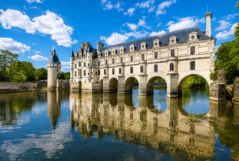 Loire Valley Castles Private Tour from Paris
