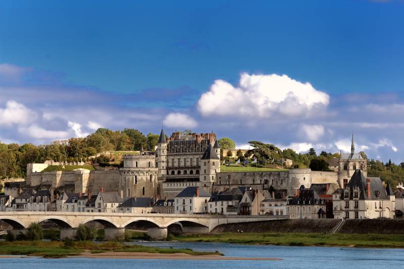 Full Day Sightseeing Tour & Castles Visit from Amboise: Amboise, Chenonceaux, Cheverny